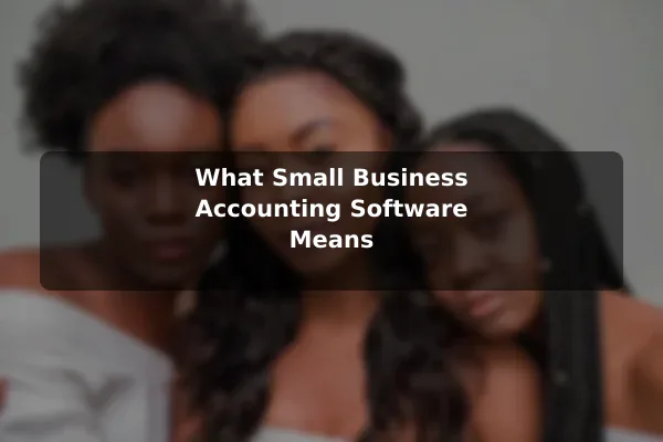 What Small Business Accounting Software Means