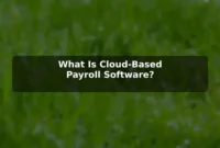 What Is Cloud-Based Payroll Software?
