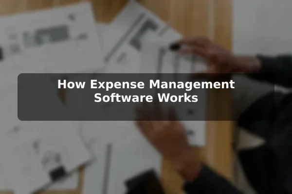 How Expense Management Software Works