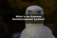 What Is an Expense Reimbursement System?