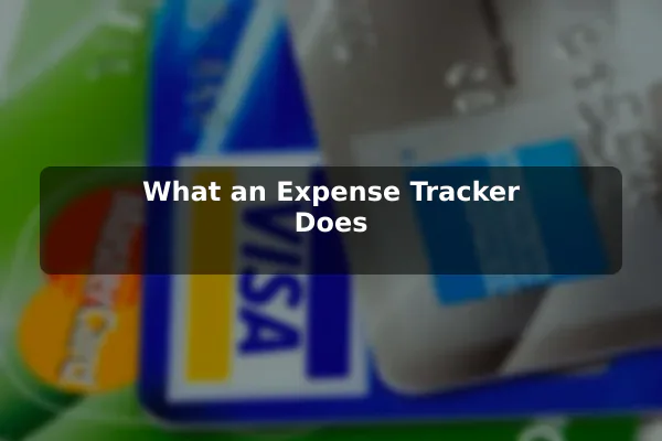 What an Expense Tracker Does
