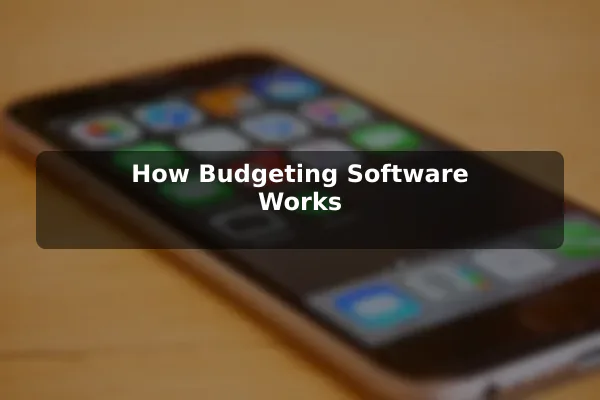 How Budgeting Software Works